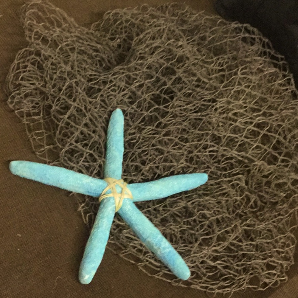 Star fish netting decor beach house lake bathroom ocean front